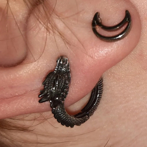 Women  Hypoallergenic Stainless Steel Stud Personalized Dragon Earrings - Picture 1 of 11